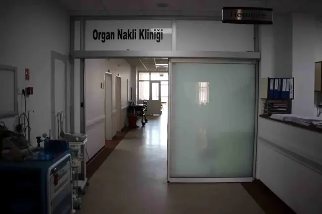 Aydın'da Usulsüz Organ Nakli Davasında Doktor Ceza Aldı