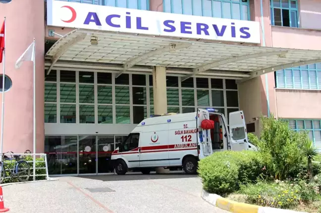 Nazilli'de İncir Ağacına Asılı Ölüm: 52 Yaşındaki Adam Bulundu