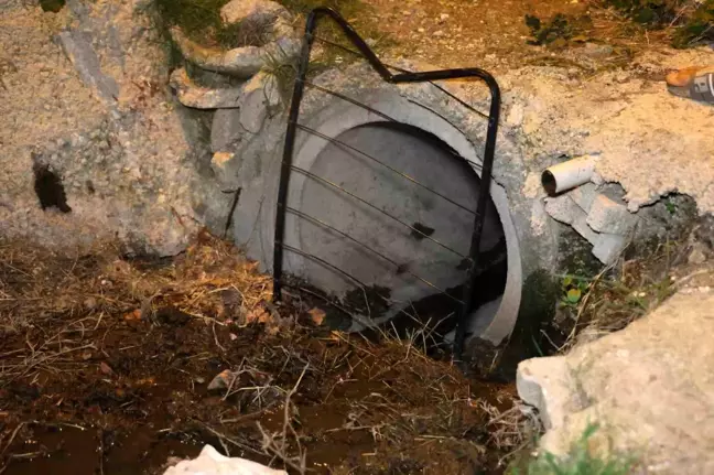 Hatay'da Buzağı Kanalizasyon Borusuna Sıkıştı, İtfaiye Ekipleri Kurtardı