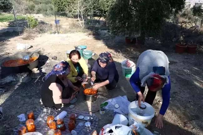 Kozan'da Kadınlardan İmece Usulü Kabak Tatlısı Hazırlığı