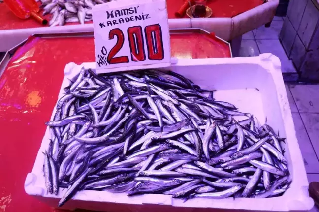 Sakarya'da İstavrit Hamsinin Yerini Aldı: Fiyatlar Yükseliyor