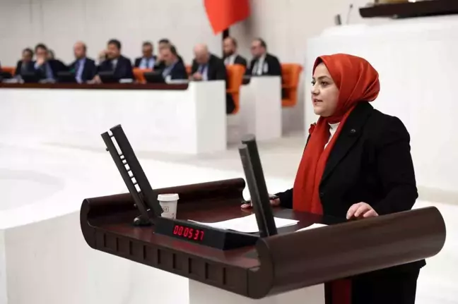 Gelecek Partisi'nden Torba Yasa Eleştirisi: Sivil Toplum Tehdit Altında