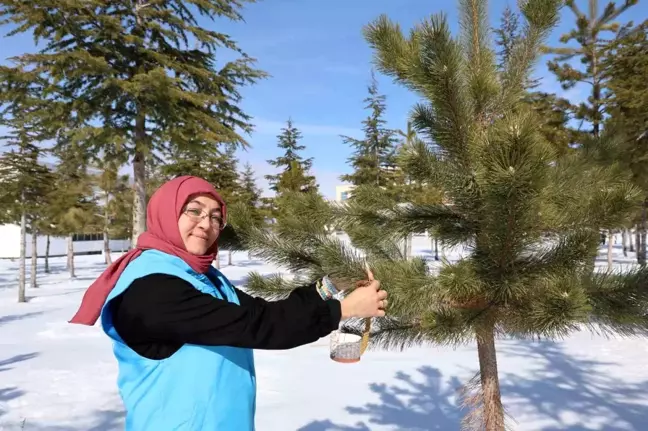 Nevşehir'de Sokak Hayvanlarına Destek Etkinliği Düzenlendi