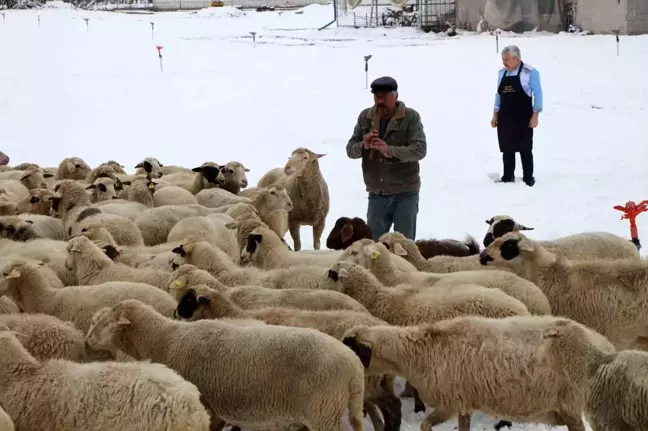 Amasya'da Her Gün Koyunlara Kaval Çalan Çoban