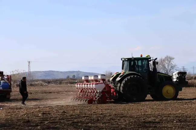 Adana'da Çiftçiler Kuraklığa Rağmen Mısır Ekimine Yöneldi