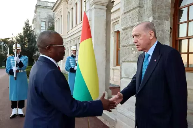 Cumhurbaşkanı Erdoğan, Gine Bissau Devlet Başkanı Embalo ile görüştü