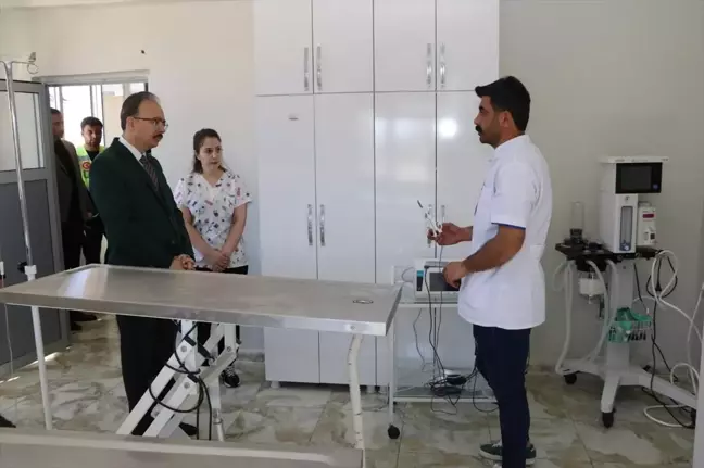 Siirt Belediyesi'nden Sokak Hayvanları İçin Rehabilitasyon Merkezi