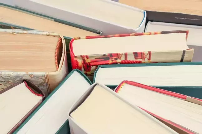2024'te En Çok Kitap Okuyan Ülke ABD Oldu