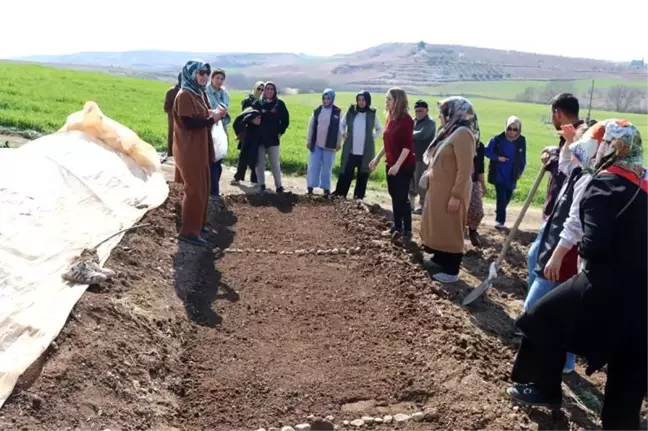 Adıyaman'da Kadın Çiftçiler İçin Fide Yetiştiriciliği Projesi Başlatıldı