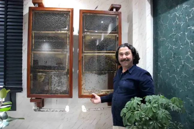 İş İnsanı Hidayet Gülpınar'ın Ofisinde Cam Arı Kovanı