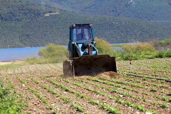 Çiftçiler Hükümetin Çelişkili Tarım Politikalarından Şikayetçi