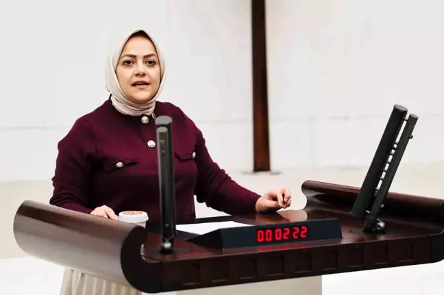 Denizli Milletvekili Sema Silkin Ün'den Özgür Özel'e Kınama Mesajı