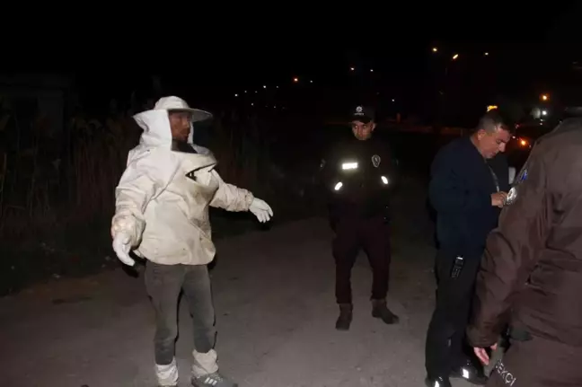 Konya'da Arı Kovanı Yüklü Kamyonet Devrildi: Arılar Etrafa Saçıldı