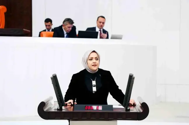 Denizli Milletvekili Sema Silkin Ün, Ev Kadınlarının Emeğine Dikkat Çekti
