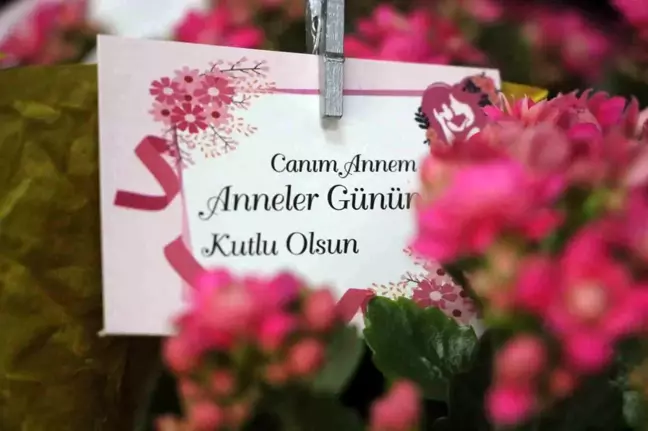 Anneler Günü İçin Bolu'daki Çiçekçilerde Yoğunluk Başladı