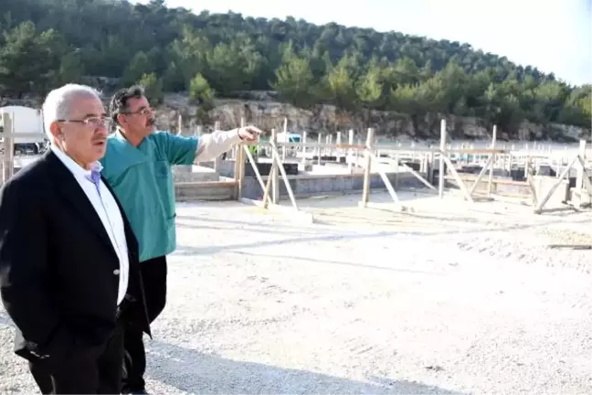 Mersin'de Sokak Hayvanlarına Otel Konforunda Barınak