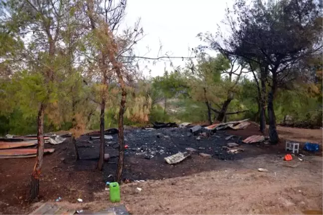 Dha Yurt - Konteyner Yangınında Bulunan Kemikler Kadına Ait Çıktı