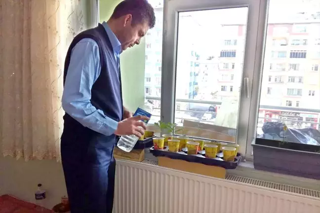 Evinde Meşe Palamudu Fidesi Yetiştiriyor