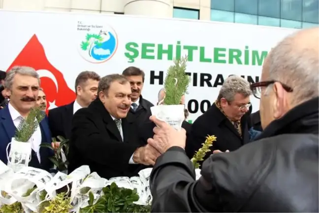 Bakan Eroğlu 10 Bin Fidan Dağıtım Etkinliğine Katıldı