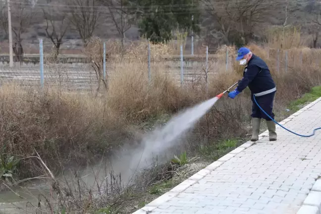 Sivrisinekle mücadele yıl boyu sürüyor