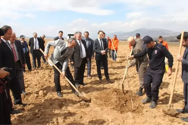 Dinar'dan Kısa Kısa