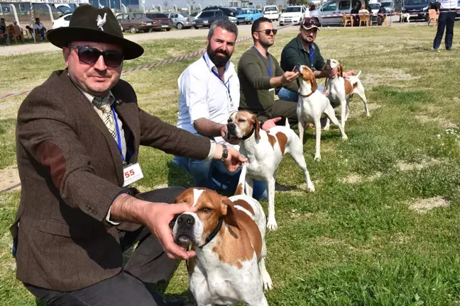İncirliova'da Av Köpekleri Yarıştı