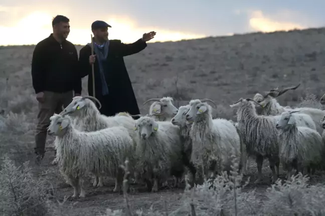 Çobanlığın yok olmasını önleyeceğiz