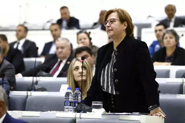 Pekdaş:
