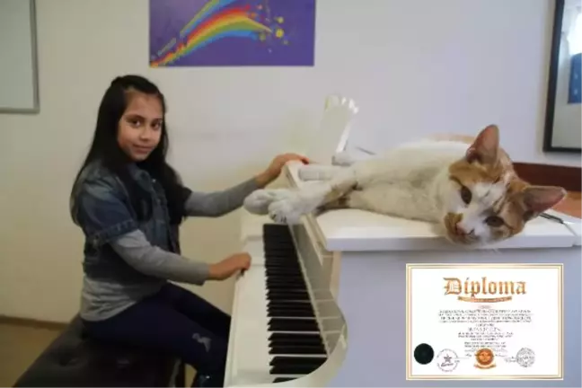 7 Yaşındaki Arya, Paris'ten Müzik Ödülüyle Döndü