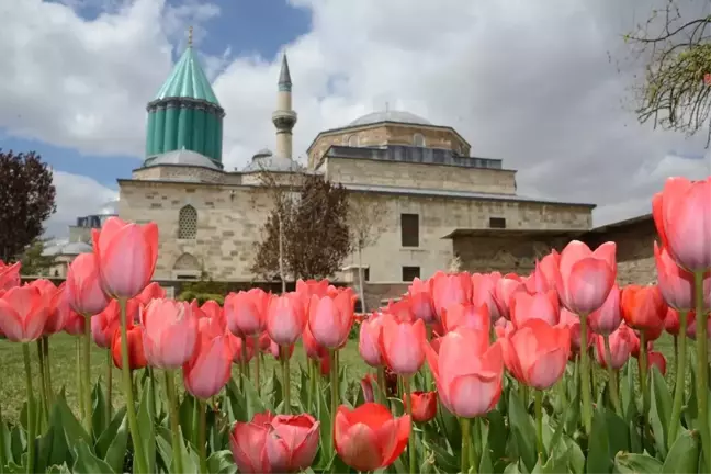 Milyonlarca Lale Konya'yı Süslüyor