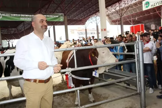 Güzellikleri ve Ağırlıklarıyla Podyumda Yarıştılar