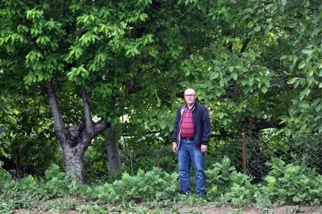 Üniversiteden Organik Tarım Çağrısı