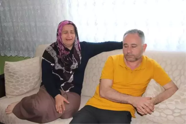 Ordu'da Kaybolan 3.5 Yaşındaki Mert Efe İçin Arama Seferberliği (2)