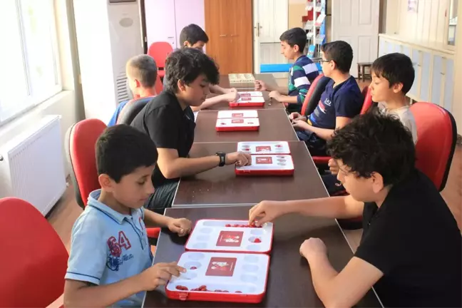 Şanlıurfa'da Mangala Turnuvası Düzenlendi