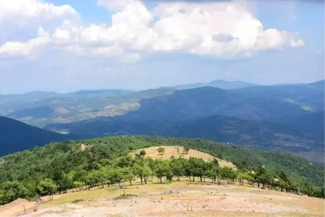 Kirazlı Altın Madenine Karşı Belediye de Hukuki Mücadele Başlatacak