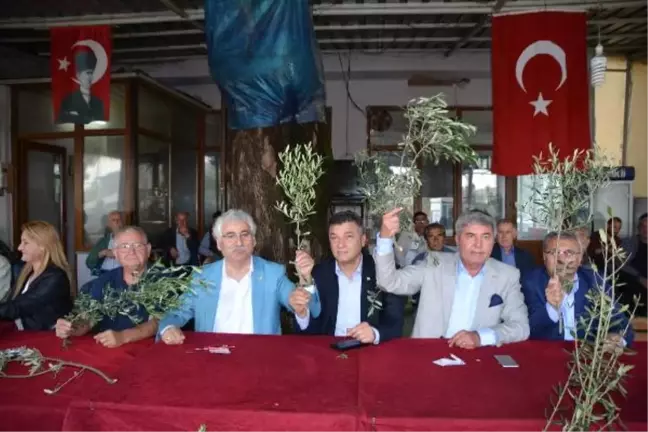 Erdek ve Bandırma'da Zeytin Eylemi