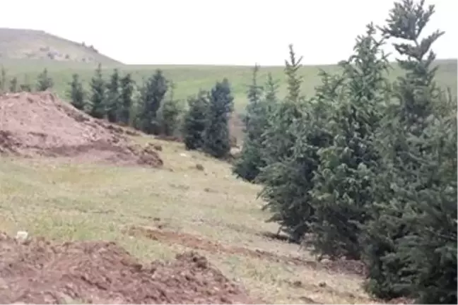 Tutak'ta Mesire Alanı Çalışması Başladı