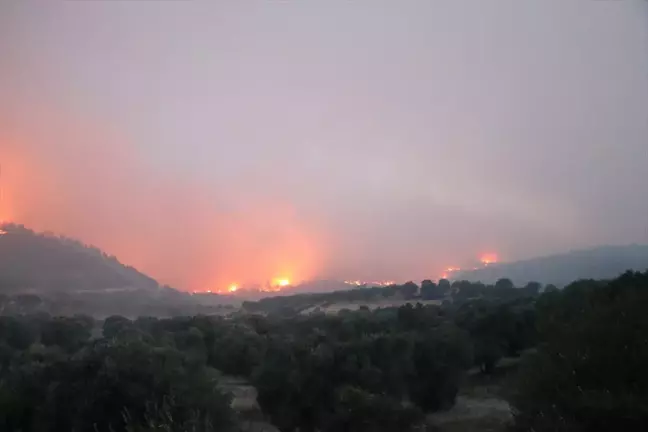 Denizli'deki Orman Yangını