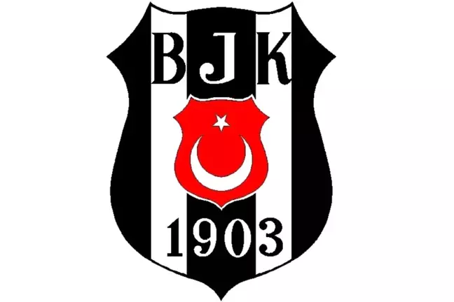 Oğuzhan 10, Pepe 5, Negredo 9...