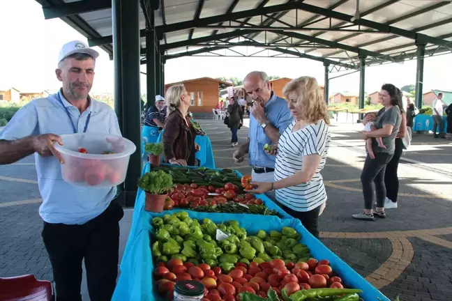 Organik Sebze Hobisi Ekmek Tekneleri Oldu
