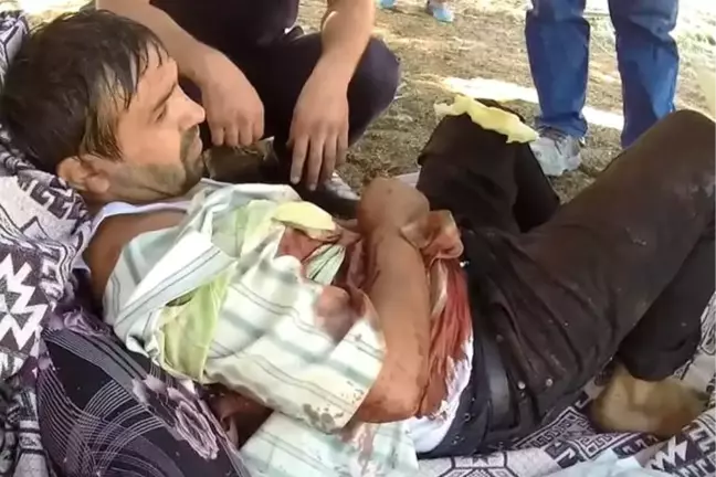 Otlattığı Boğanın Boynuz Darbeleriyle Yaralandı