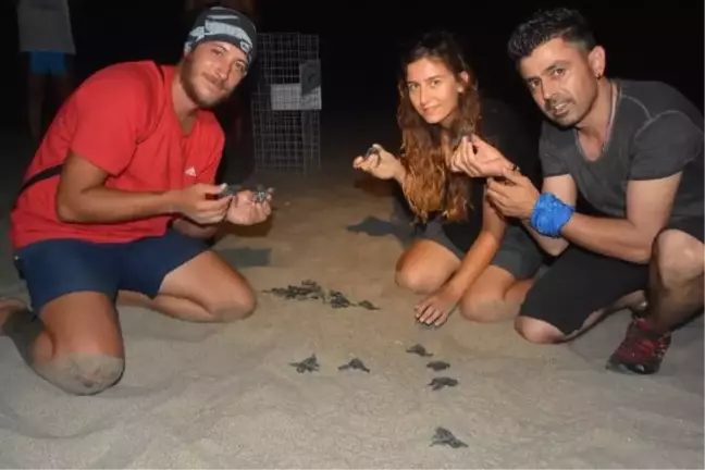 Patara'da Carettalar Denizle Buluşuyor