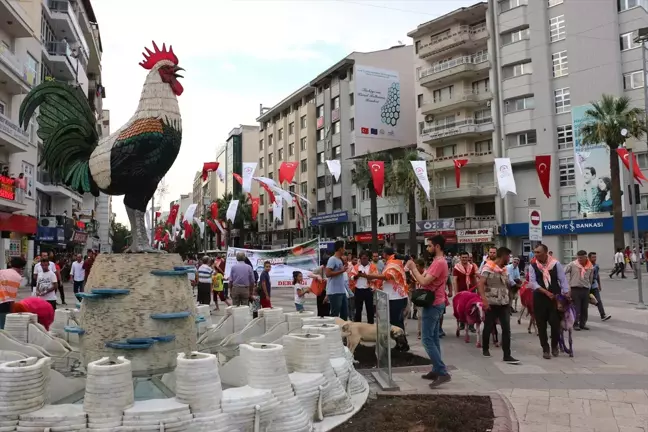 Denizli'de Mor Koyunlarla Kortej Yürüyüşü