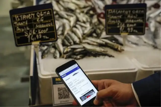 Balıklar, Qr Kodla Kayıt Altına Alınıyor