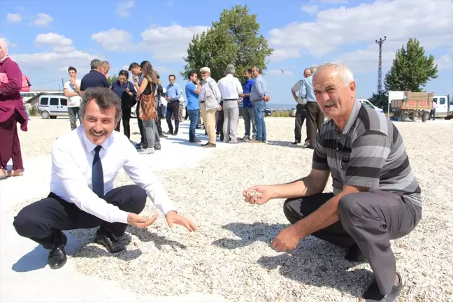 Yenişehir İlçesine Ayçiçeği Kurutma Tesisi