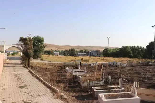 Tutak Kurban Bayramına Hazırlanıyor