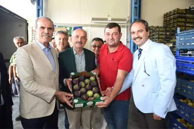 Siyah İncir Üreticisinin Yüzü Gülüyor