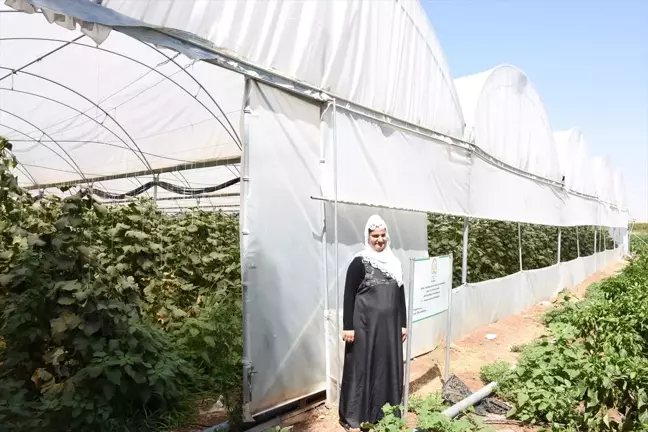 Girişimci Kadınlar - Kurduğu Sera ile Eşini İş Sahibi Yaptı