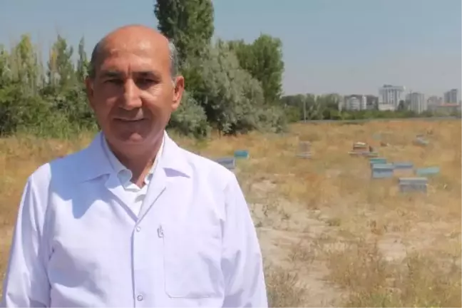 Prof.dr. Akyol: Yanlış İlaç Kullanımı Bal İhracatını Etkiliyor