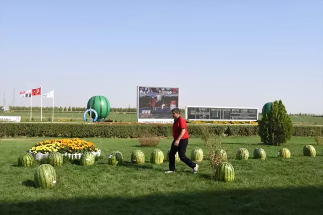 7. Diyarbakır Kültür ve Karpuz Tanıtım Etkinlikleri